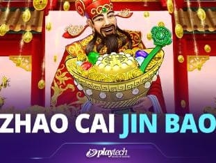 Zhao Cai Tong Zi game thumbnail